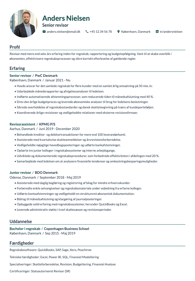 Revisor CV