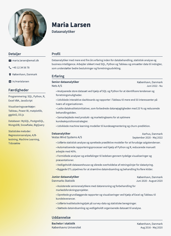 Dataanalytiker CV