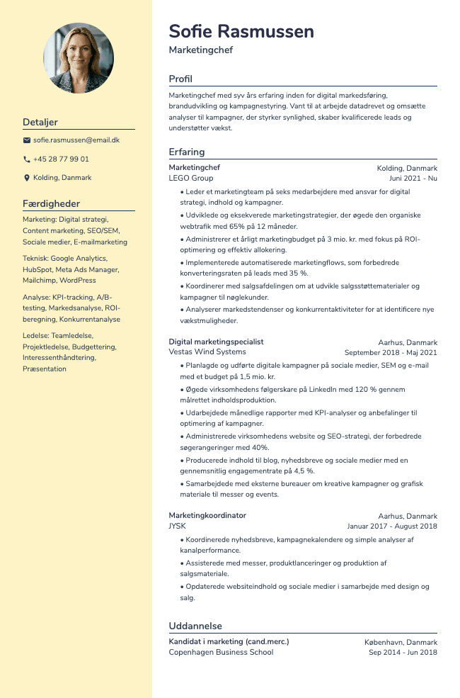 Marketingchef CV