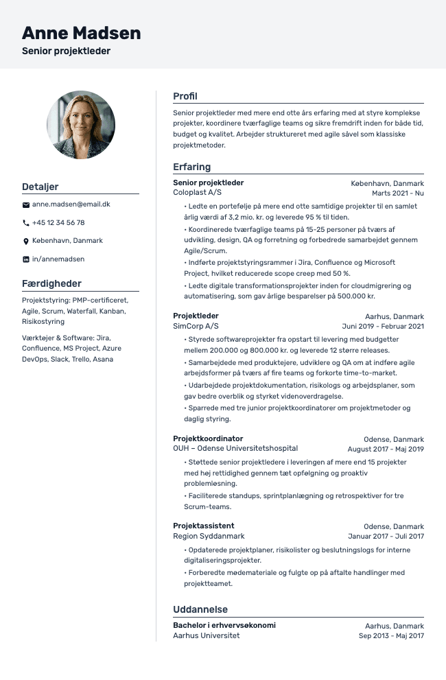 Projektleder CV