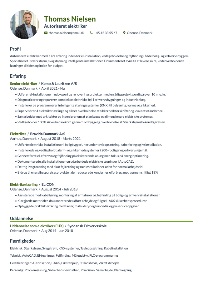 Summit resume template preview