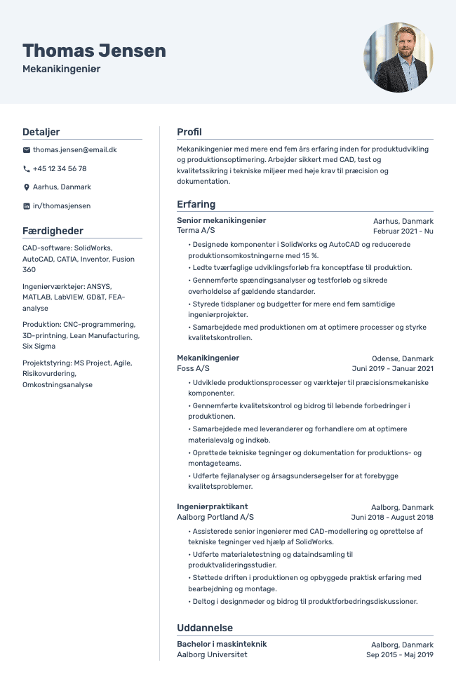 Vivid resume template preview