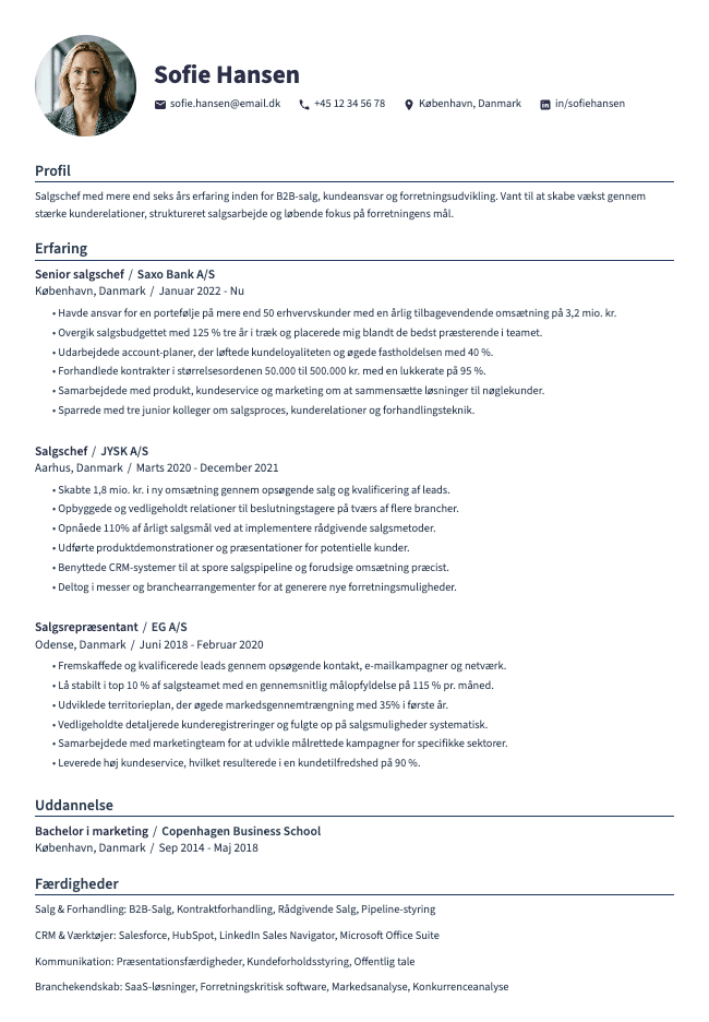 Salgschef CV