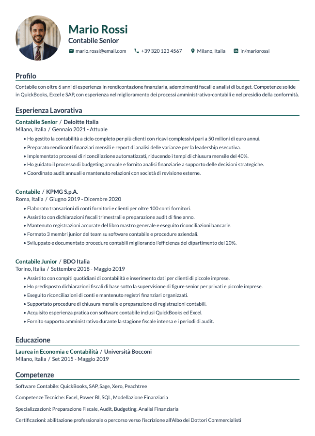 Professional resume template preview