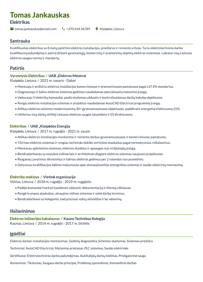 Summit resume template preview