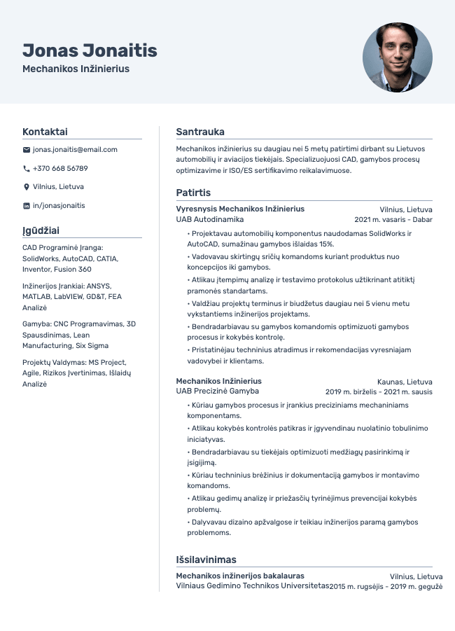 Vivid resume template preview