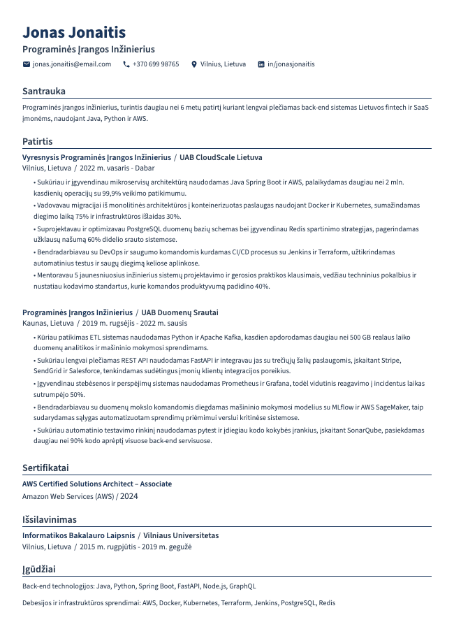 Programinės Įrangos Inžinieriaus CV