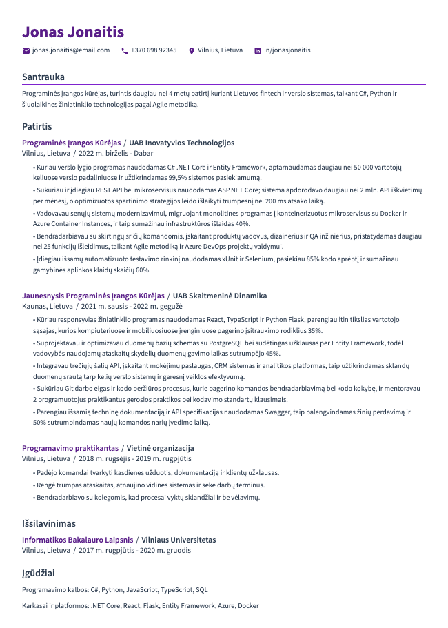 Programinės Įrangos Kūrėjo CV