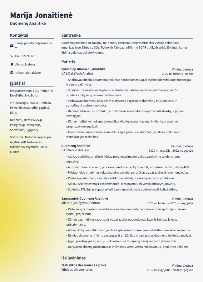 Duomenų Analitikės CV
