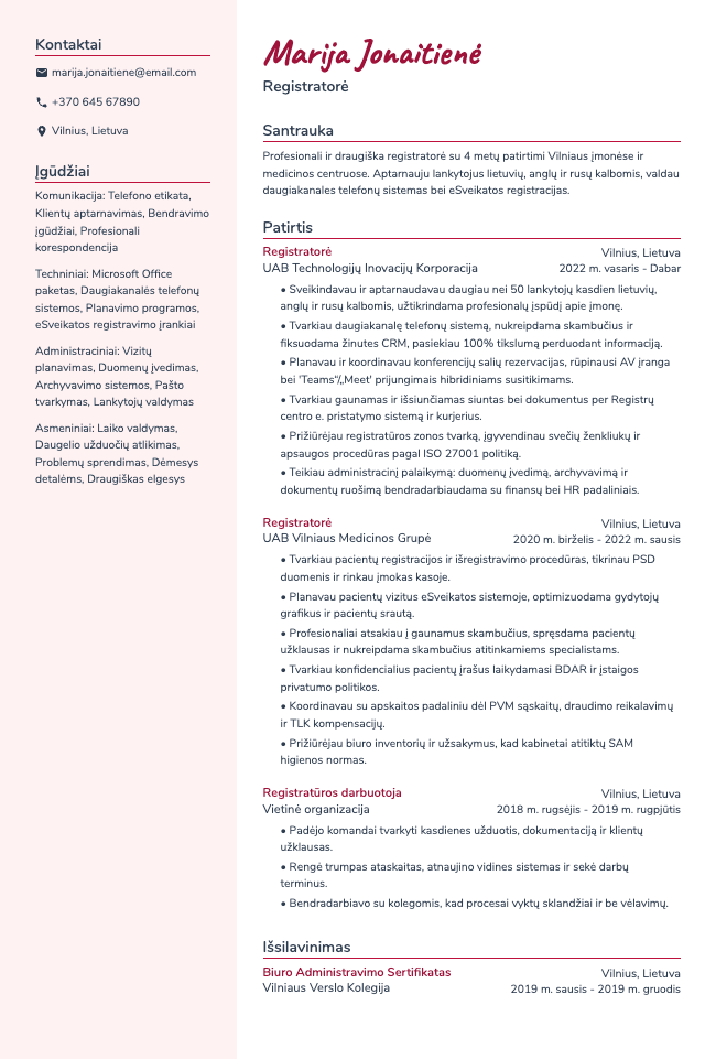 Flair resume template preview
