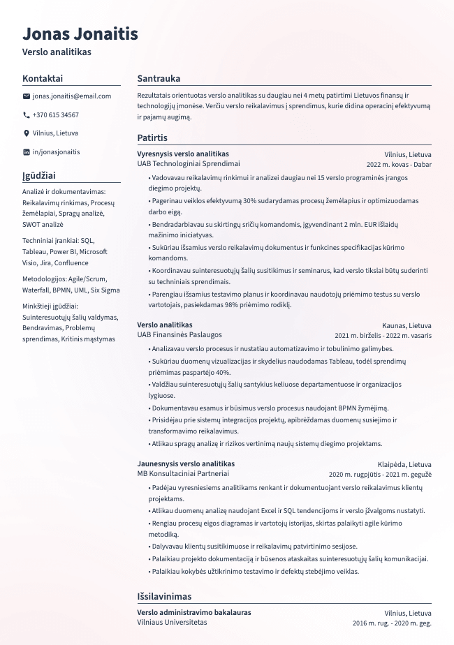 Verslo analitiko CV