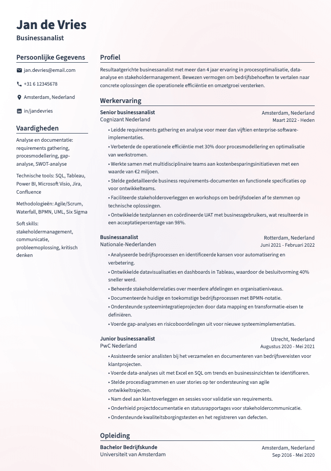 Businessanalist-cv