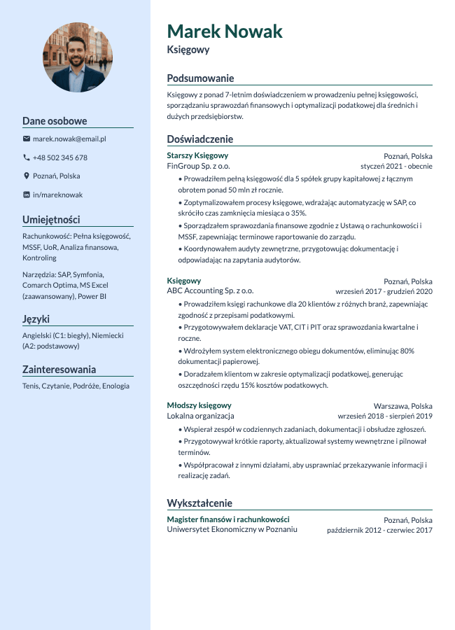 Professional resume template preview