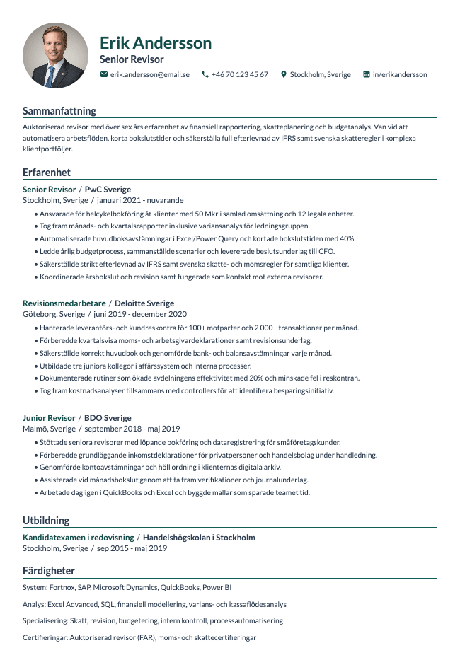 Revisor CV
