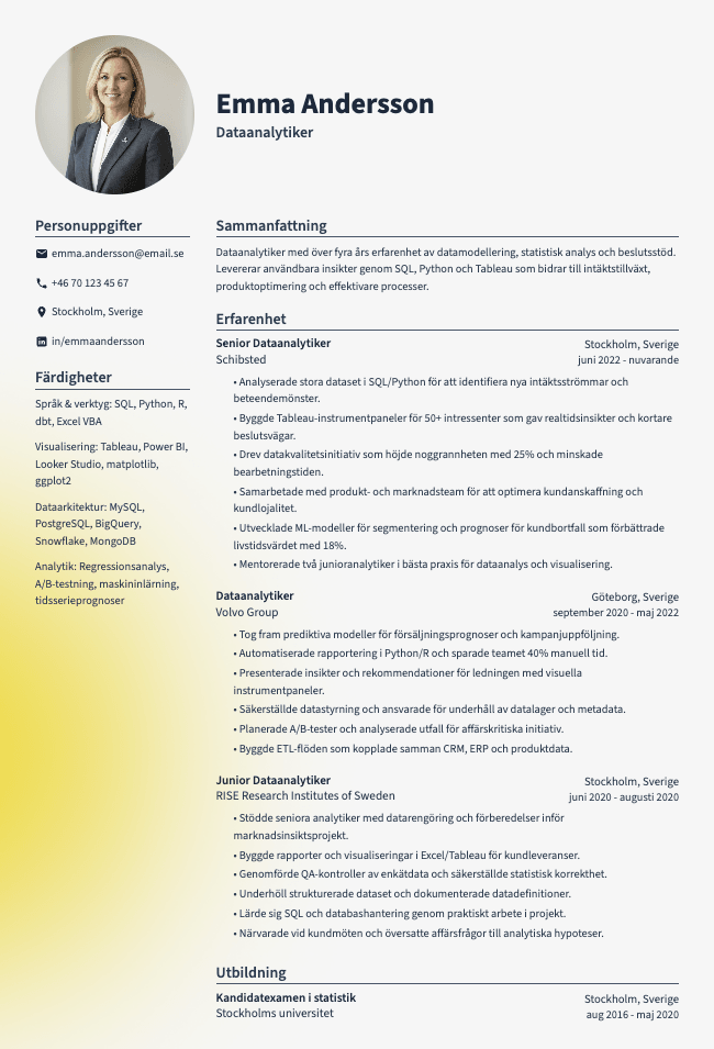 Dataanalytiker CV