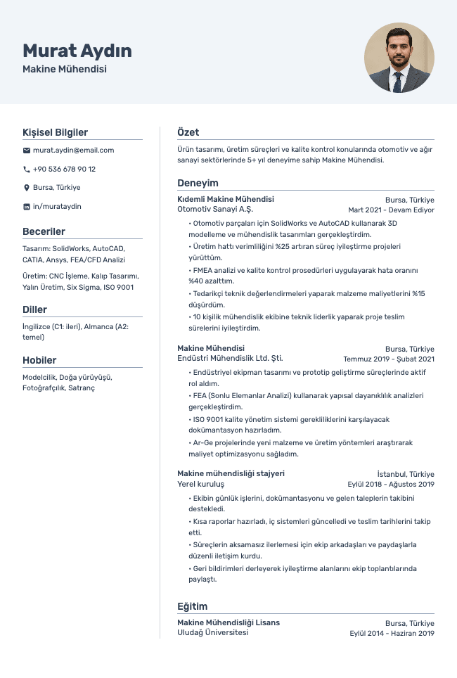 Vivid resume template preview