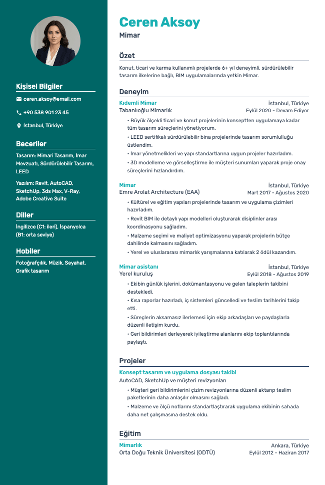 Aura resume template preview
